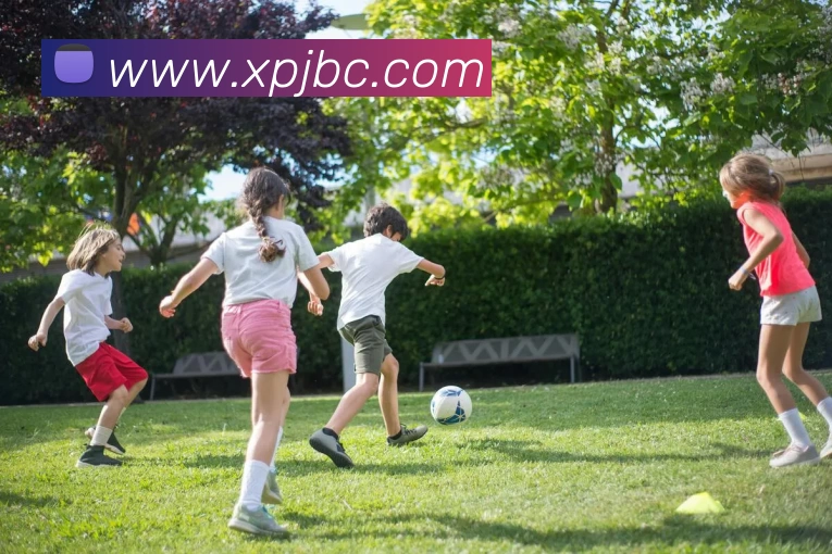 新葡京博彩官网全站App